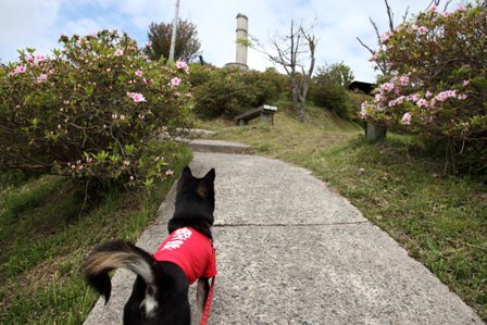 関の五本松公園2