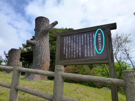 関の五本松公園13