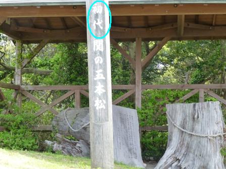 関の五本松公園14
