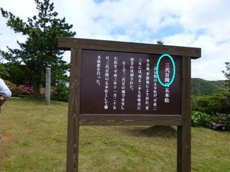 関の五本松公園15