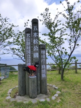 関の五本松公園20