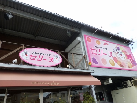 鯱市5