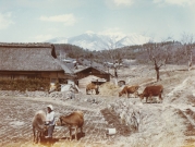 g-07--S30年代 旧長坂町小
