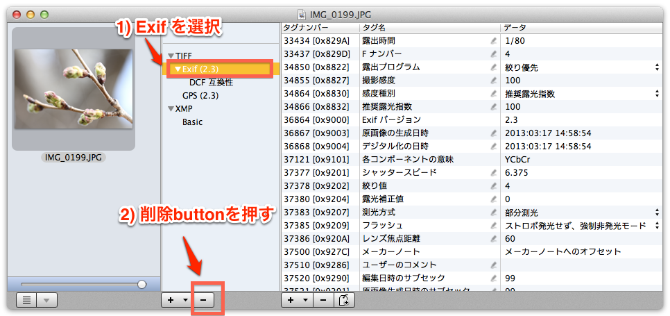20130318-1238pm-s1.png