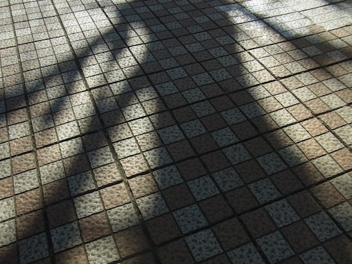 RIMG8551.jpg