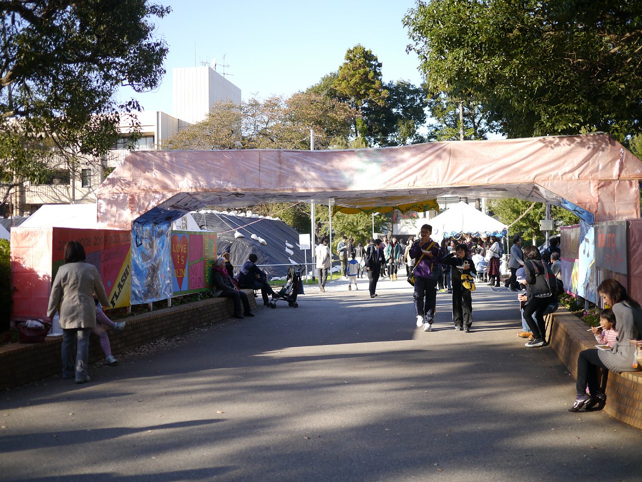 学校祭 12年 麗澤大学 第49回麗陵祭 柏