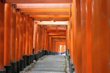 233-torii-hushimi_20121102000752.jpg