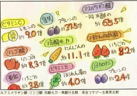 免疫力.代謝をあげる!活性酸素をなくし きれいな素肌に!