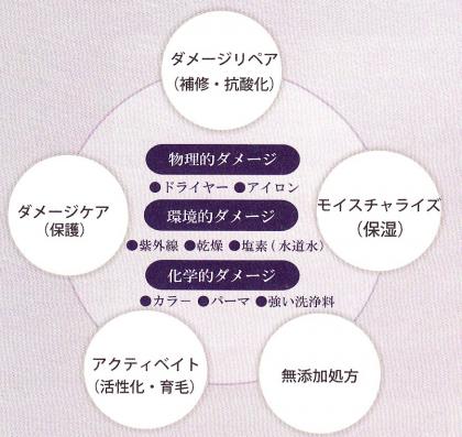 ツヤ、ハリ、コシのある髪に!無添加アミノ酸シャンプー!