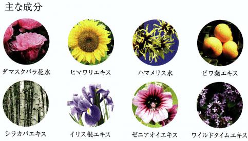 100%無添加化粧水で 潤い力アップして乾燥しない肌に!