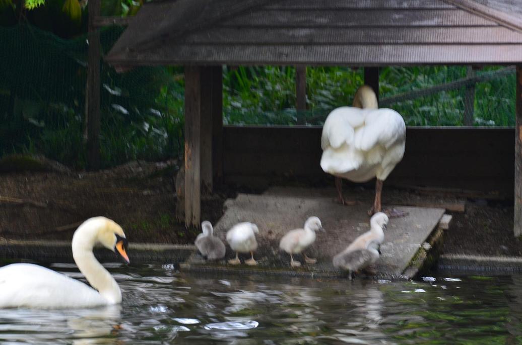 DSC_8291.jpg