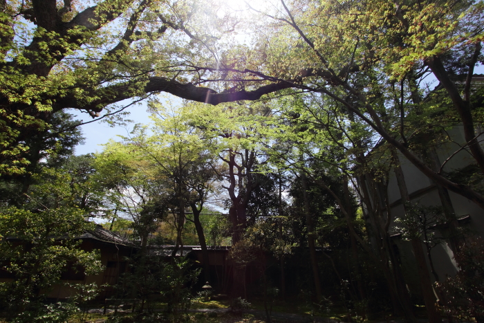 DPP_21150.jpg