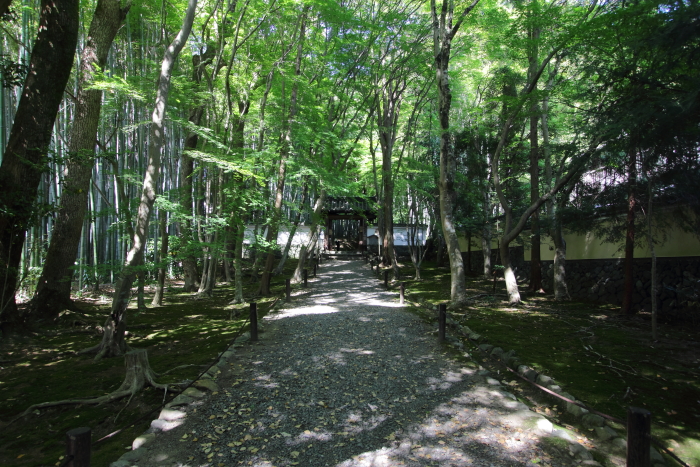 DPP_21291.jpg
