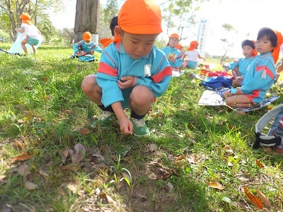 DSCF1012.jpg