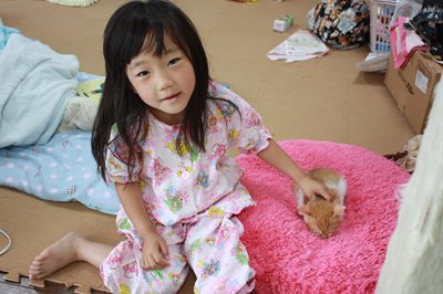 茶次郎かわいい~ 子猫里親募集中☆石川富山福井