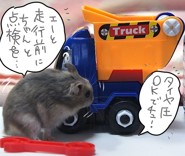 走行前に