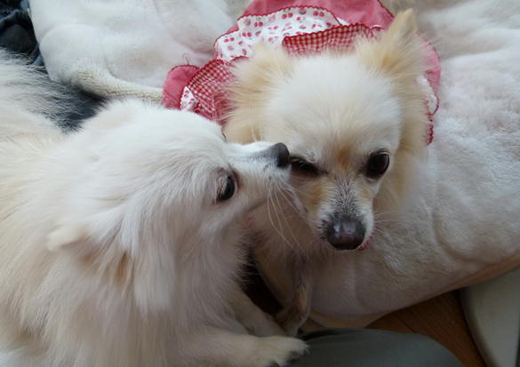F12_20121001195710.jpg