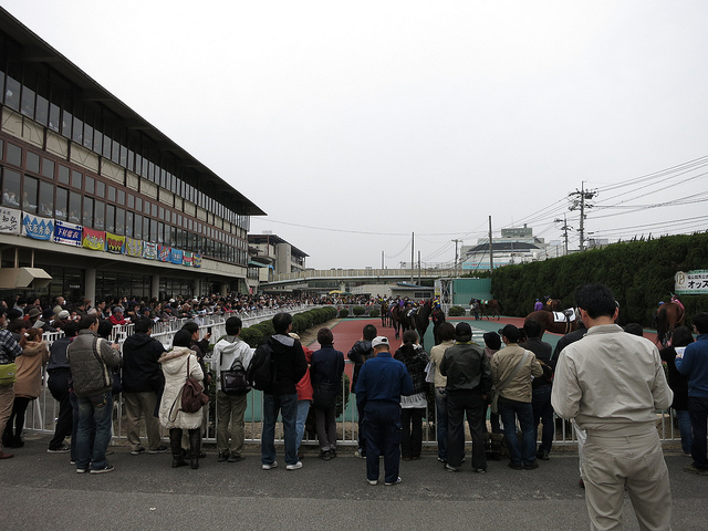 FukuyamaKeiba_130317_03.jpg