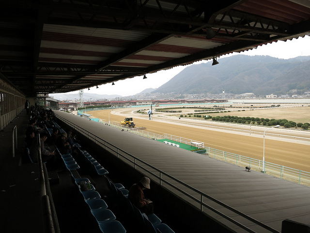 FukuyamaKeiba_130317_04.jpg