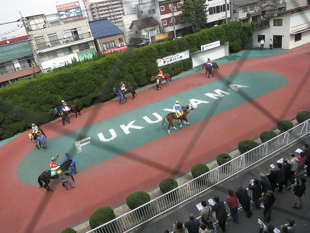 FukuyamaKeiba_130317_12.jpg