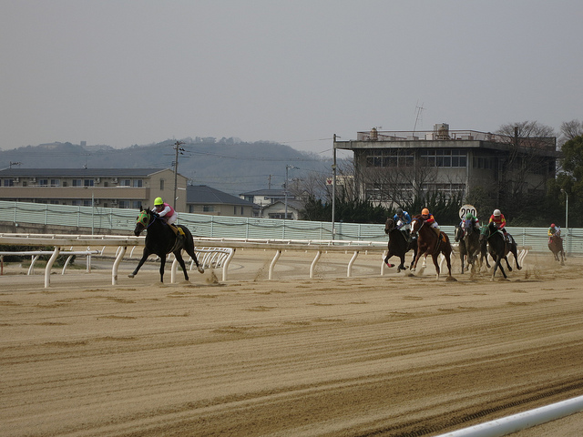 FukuyamaKeiba_130317_14.jpg