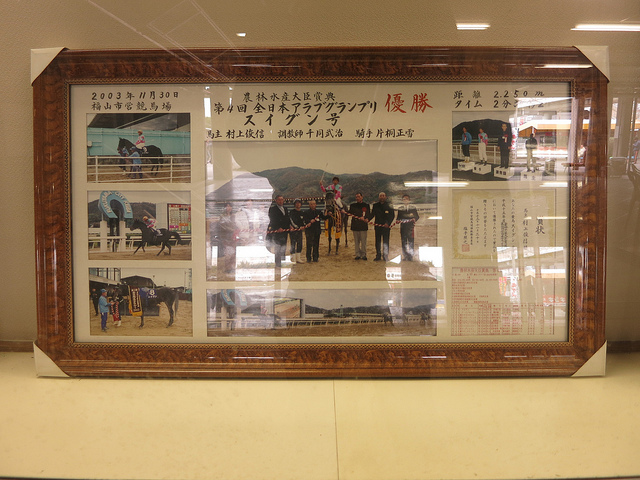 FukuyamaKeiba_130317_17.jpg