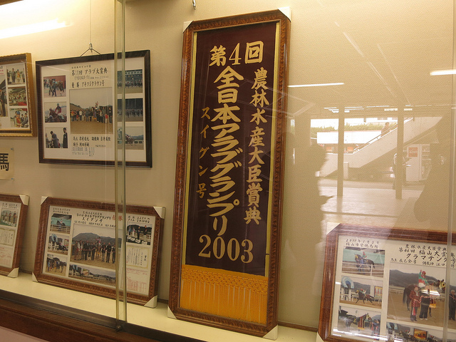 FukuyamaKeiba_130317_18.jpg