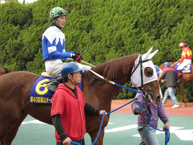 FukuyamaKeiba_130317_22.jpg