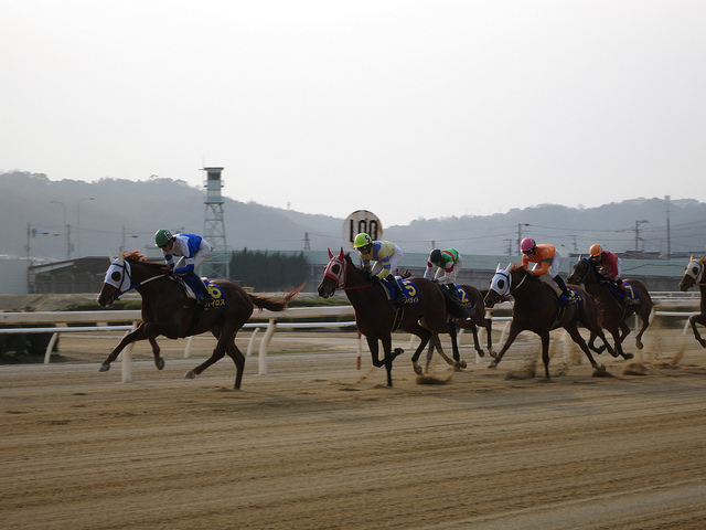 FukuyamaKeiba_130317_25.jpg