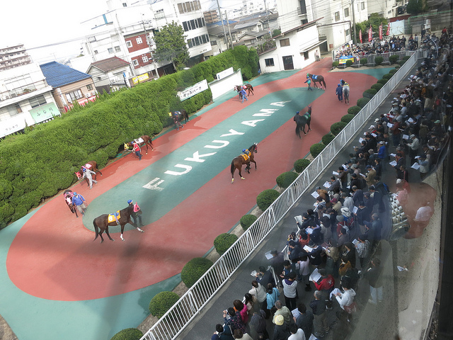 FukuyamaKeiba_130324_03.jpg