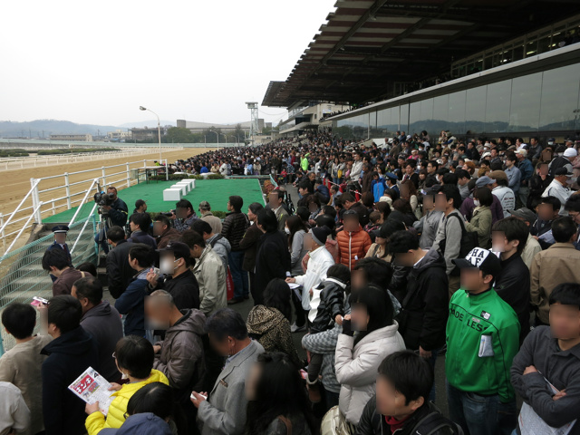 FukuyamaKeiba_130324_05.jpg