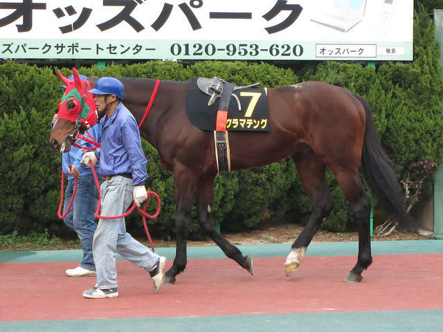FukuyamaKeiba_130324_09.jpg