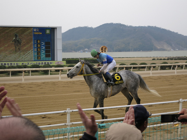 FukuyamaKeiba_130324_11.jpg