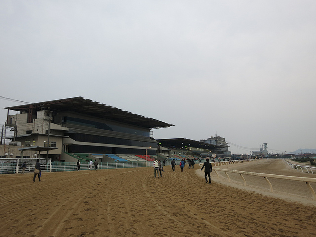 FukuyamaKeiba_130324_13.jpg