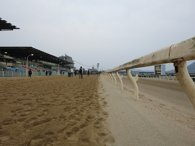 FukuyamaKeiba_130324_14.jpg