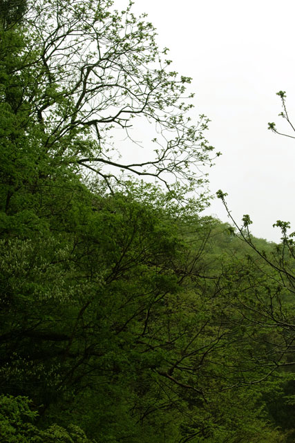 SDIM1043.jpg