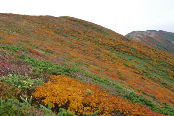 121014_071.jpg