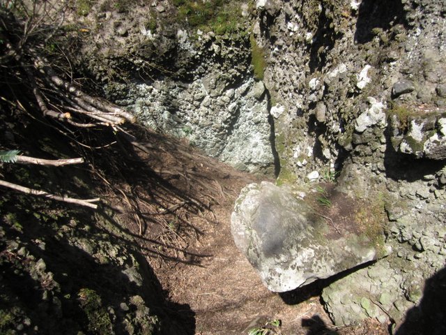 IMG_0620.jpg