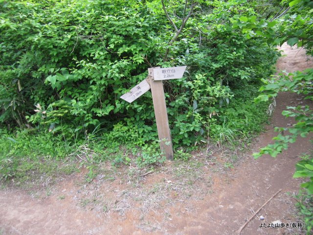 IMG_1721.jpg