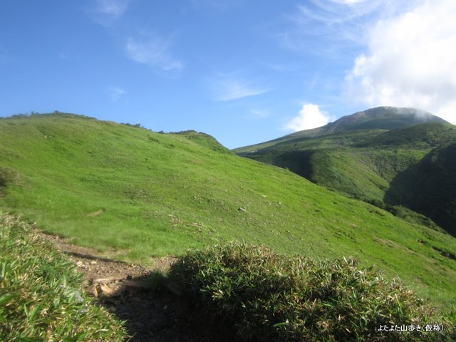 IMG_2942.jpg