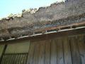 DSCF2624_R.jpg